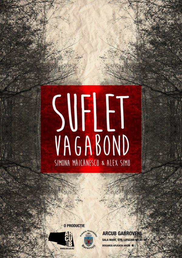 Suflet_vagabond_poster